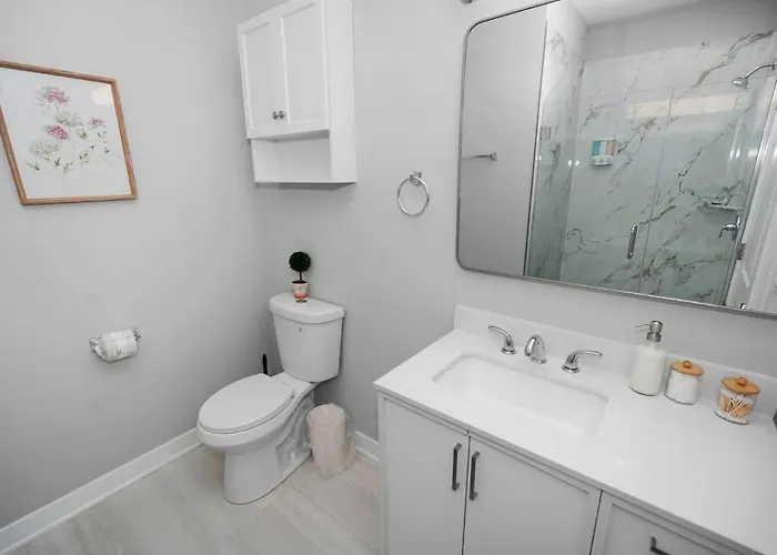 Spacious 3br Near United Center & Medical District Apartment