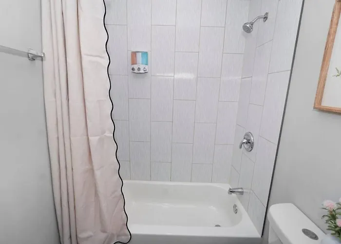 Apartment Spacious 3br Near United Center & Medical District